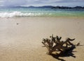 Doini Island, Papua New Guinea.