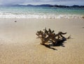 Doini Island, Papua New Guinea.