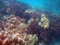 Doini Island, Papua New Guinea.