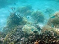 Doini Island, Papua New Guinea.