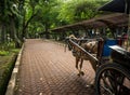 Dokar or horse-drawn carriage on pavement photo taken in Jakarta Indonesia