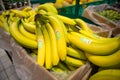 Dole bananas on the fruits and vegetables aisle in a store