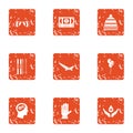 Dole icons set, grunge style