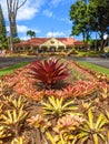 Dole pineapple plantation in Wahiawa, Oahu, Hawaii, USA