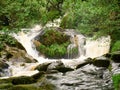 Dolgoch Falls