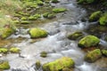 Dolina Koscieliska creek Royalty Free Stock Photo