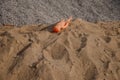 Doll abandoned in the sand, forgotten children& x27;s toy