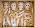 Doll body parts Royalty Free Stock Photo