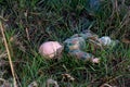 Doll of a child in the grass Royalty Free Stock Photo