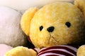 Doll cute teddy bear yellow face close up, little bear doll, face teddy bear selective focus