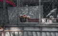 Doll lies on window . Abandoned children concept