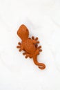Doll lizard clay on wall Royalty Free Stock Photo
