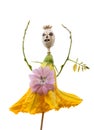 Doll from poppy head and flower Royalty Free Stock Photo