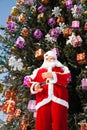 Doll Santa Claus and Christmas tree after snowfall