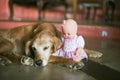 Doll sitting next to a dog