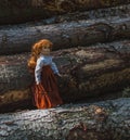 Lumber timber and doll, childhood care concept
