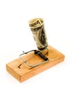 Dollar banknote in a mousetrap