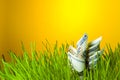 Dollar banknotes in green grass Royalty Free Stock Photo