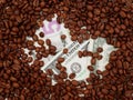 Dollar banknotes under scattered roasted coffee beans Royalty Free Stock Photo