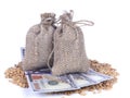 Dollar banknotes among wheat grains under the sacks of grain on white background. Agricultural job, price change concept