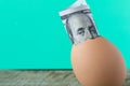 100 dollar bill in an egg shell. The concept of saving Royalty Free Stock Photo