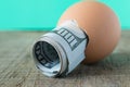 100 dollar bill in an egg shell. The concept of saving Royalty Free Stock Photo