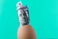 100 dollar bill in an egg shell. On a turquoise background. The Royalty Free Stock Photo