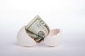 dollar bill hatching from white egg Royalty Free Stock Photo