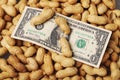 Dollar banknote on top of a bed of peanuts