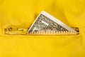Dollar bill in the zipper Royalty Free Stock Photo