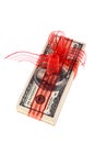 Dollar bills as money gift