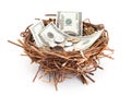 Dollar bills and coins in a birds nest