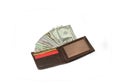 Dollar bills and credit card in wallet Royalty Free Stock Photo