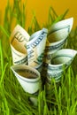 Dollar bills among green grass Royalty Free Stock Photo