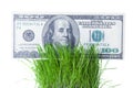 Dollar bills growing in the green grass Royalty Free Stock Photo