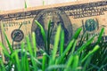 100 dollar bills growing in the green grass, financial growth concept Royalty Free Stock Photo