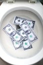 Dollar bills in a white toilet Royalty Free Stock Photo