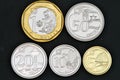 2013 Singapore coins Royalty Free Stock Photo