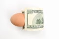 Dollar and chicken egg, on isolated white background Royalty Free Stock Photo