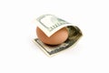 Dollar and chicken egg, on isolated white background Royalty Free Stock Photo