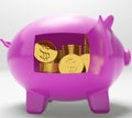 Dollar Coins Piggy Shows Prosperity And Security