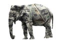 Dollar elephant Royalty Free Stock Photo