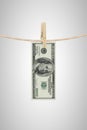 Dollar hanging on a rope Royalty Free Stock Photo