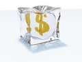 Dollar in the ice cube