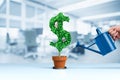 Dollar income growth concept Royalty Free Stock Photo