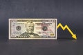 Dollar inflation, dollar depreciation, declining purchasing power of American currency, dollar and financial system