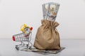 Dollar money bag and a shopping cart. Loans and microloans concept