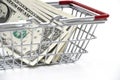 Dollar money with Shopping Cart On White Background Shot In Stud