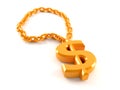 Dollar necklace