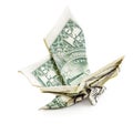 Dollar origami butterfly isolated side view